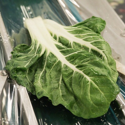 Krautstiele auf Folie zum verpacken