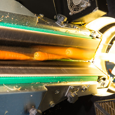 Carrot visualization Bätterkinden