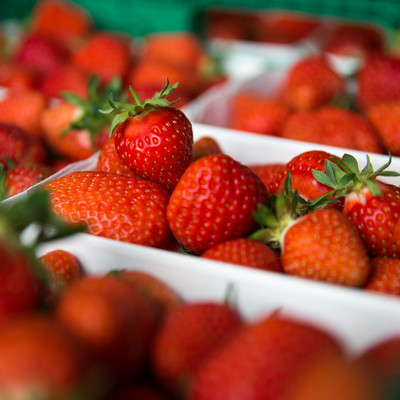 Barquettes de fraises rouges juteuses
