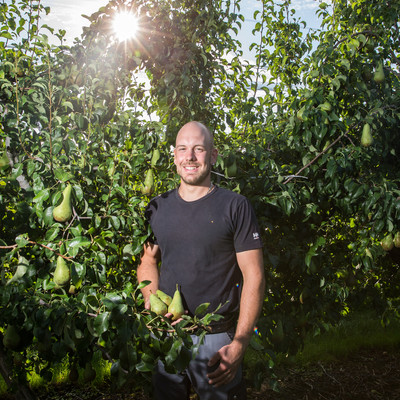 Le producteur devant un poirier