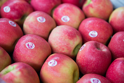 belles pommes Pink Lady